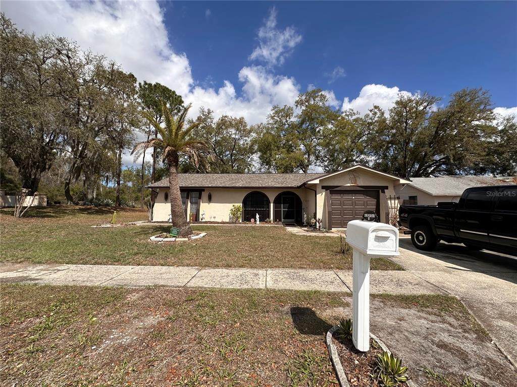 12805 Pecan Tree Drive - Photo 1
