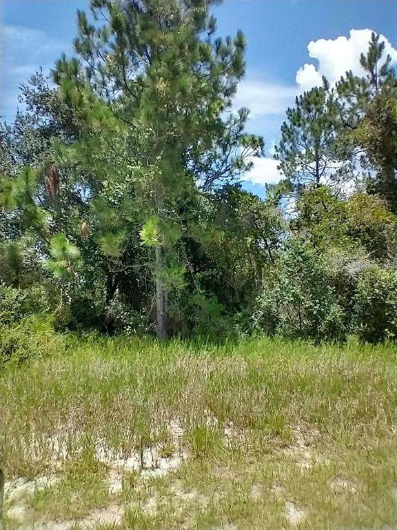 1322 Tallahassee Court - Photo 1