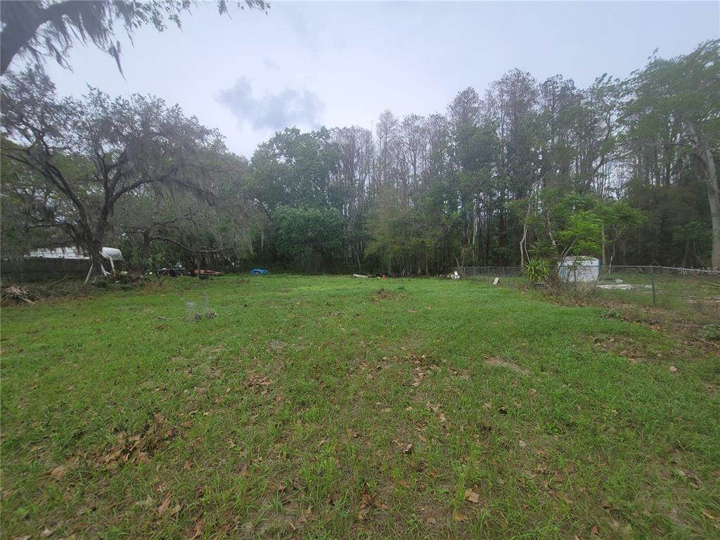11641 Bruin Drive - Photo 1