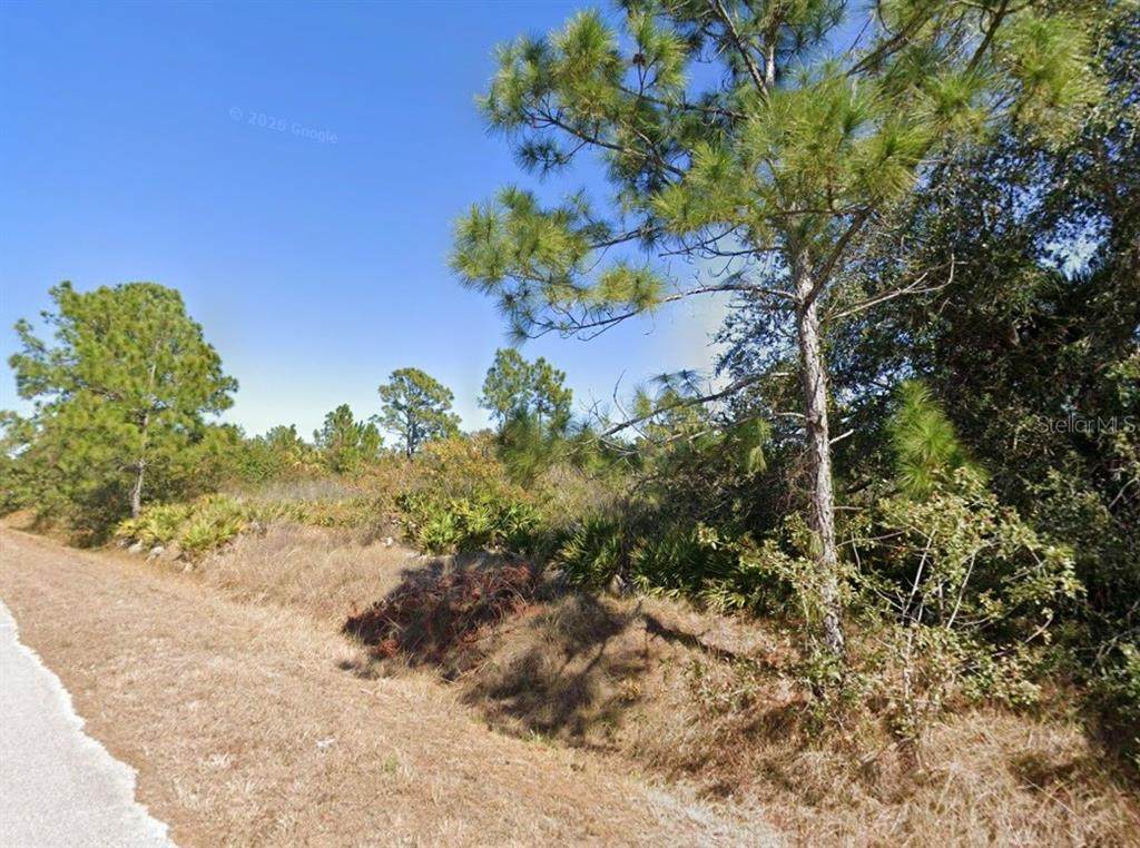 900 Hibiscus Avenue - Photo 1