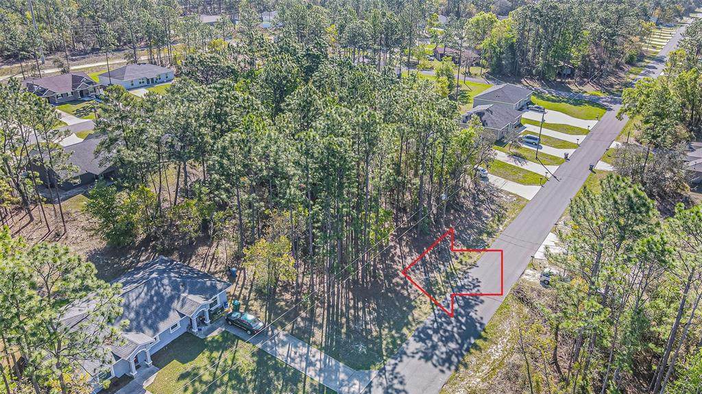 9411 Mendoza Way - Photo 1