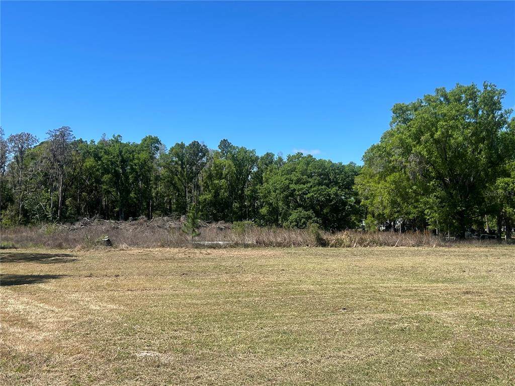 1565 Creek Road - Photo 1
