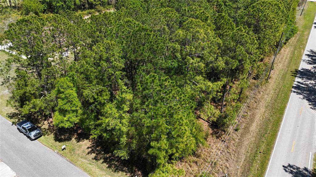  Pine Lands Dr - Photo 1