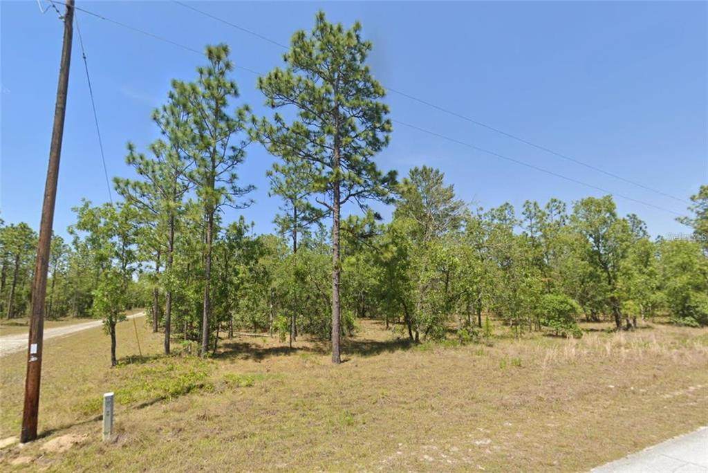 Lot 31 133RD - Photo 1
