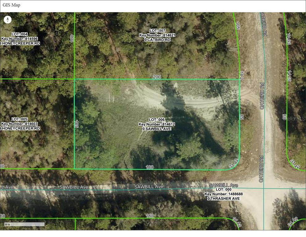 000 Sawbill Avenue - Photo 1