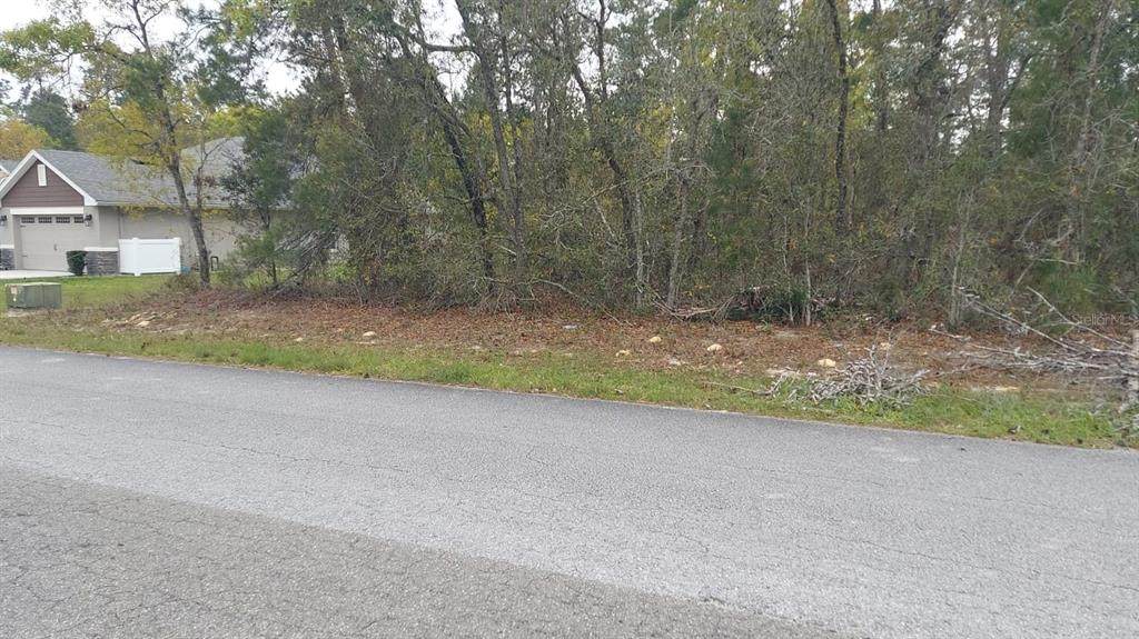 3 Tall Marigolds Ct, - Photo 1