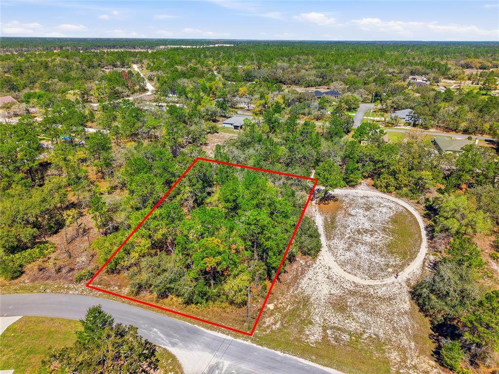 11155 Marsh Wren Avenue - Photo 1