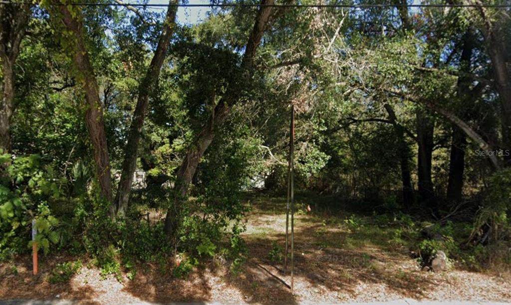 1408 Dr Martin Luther King Jr Boulevard - Photo 1