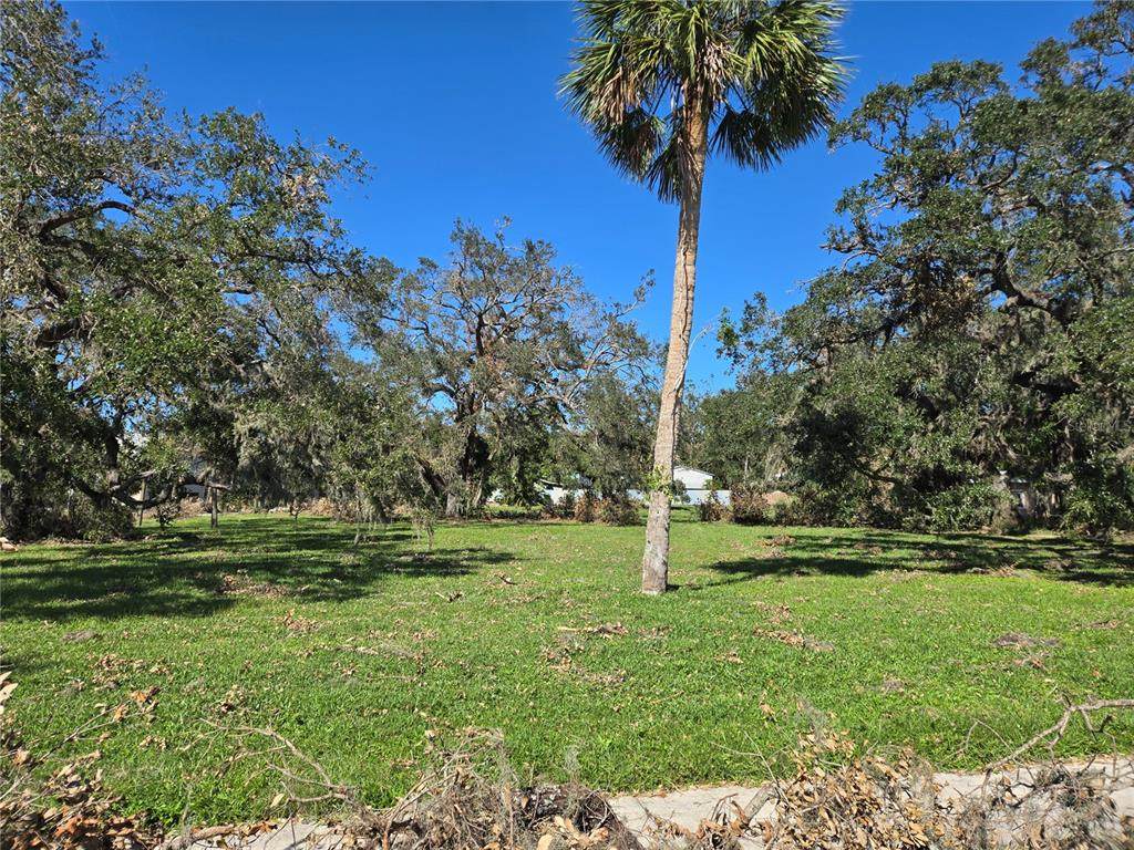 1800 Tamiami Trail - Photo 1