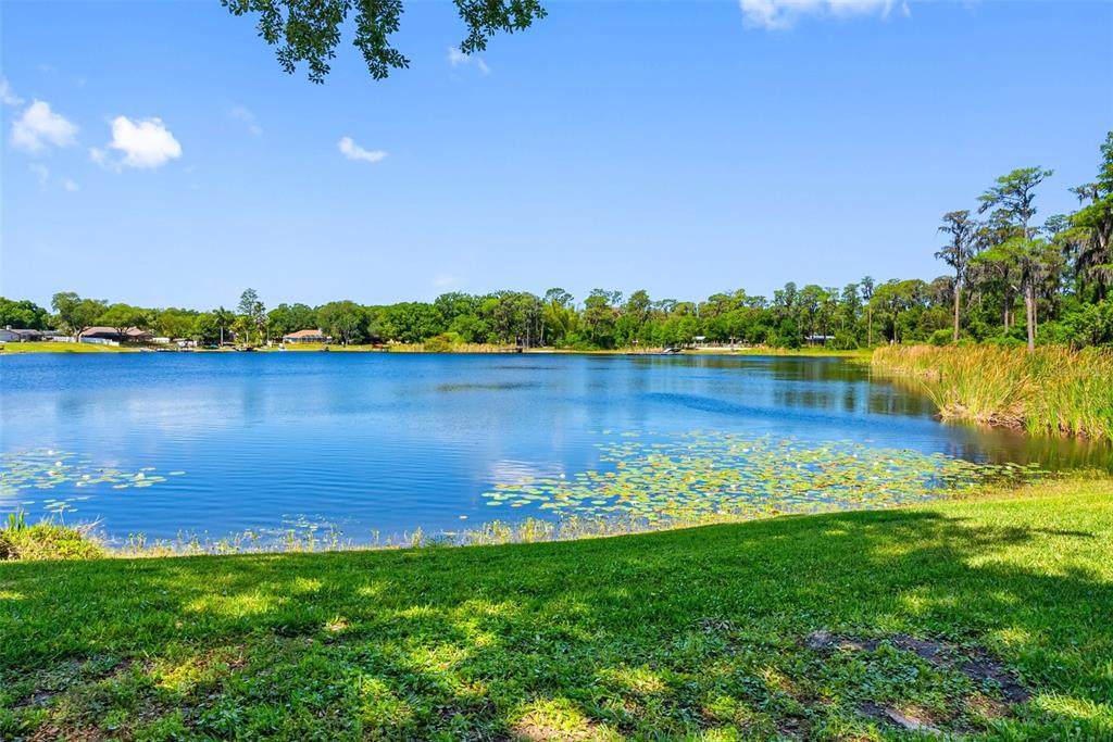 10209 Lake Grove Drive - Photo 1