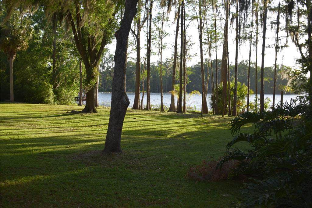16308 Rock Lake Drive - Photo 1