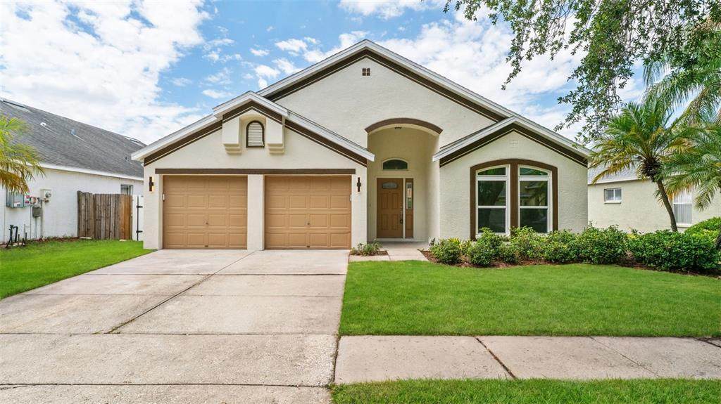 11708 Carrollwood Cove Drive - Photo 1