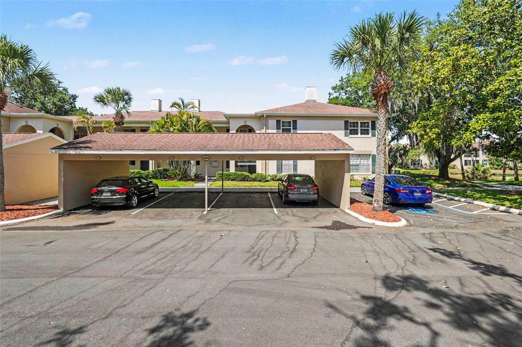 10346 Carrollwood Lane - Photo 1