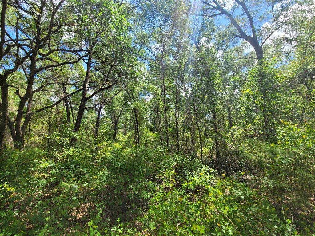 912 Ferncreek Avenue - Photo 1