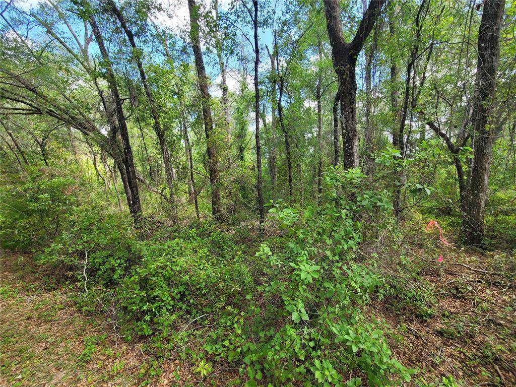 910 Ferncreek Avenue - Photo 1