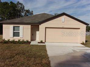 11357 Elgin Boulevard - Photo 1