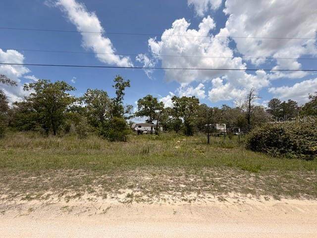 0 Fulmar Road - Photo 1
