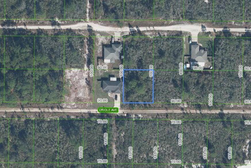 229 Oriole Avenue - Photo 1