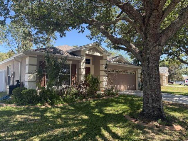 409 Sea Holly Drive - Photo 1
