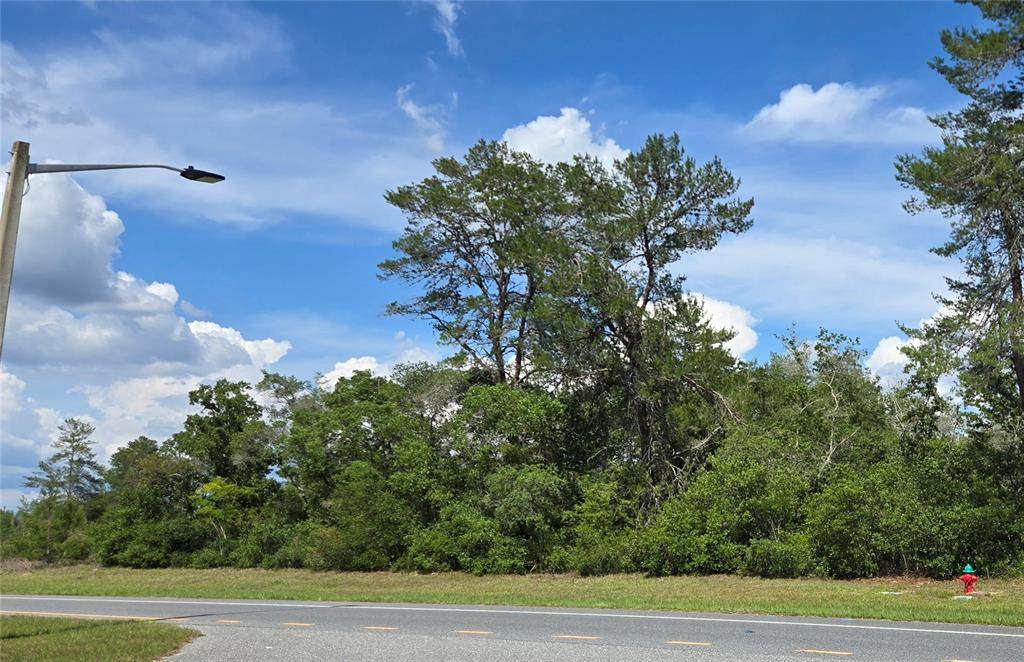 00 Marion Oaks Boulevard - Photo 1