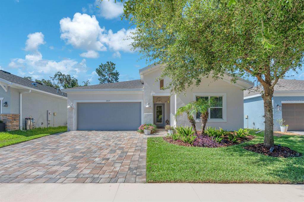 14115 Carissa Meadows Court - Photo 1