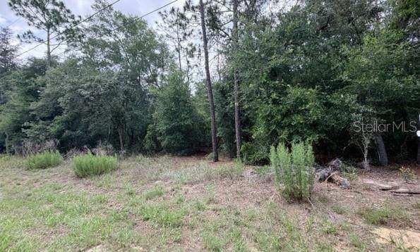 3223 E Scofield St - Photo 1