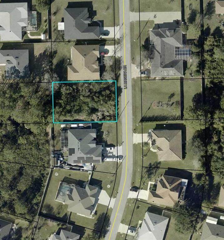 61 La Mancha Drive - Photo 1