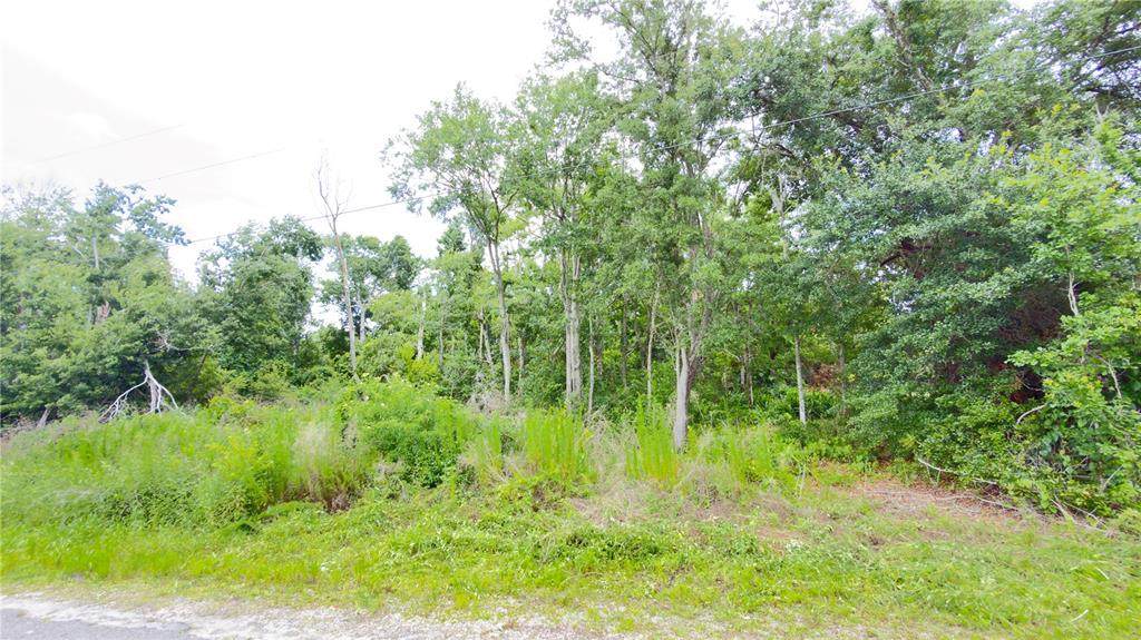 7402 Land Drive - Photo 1