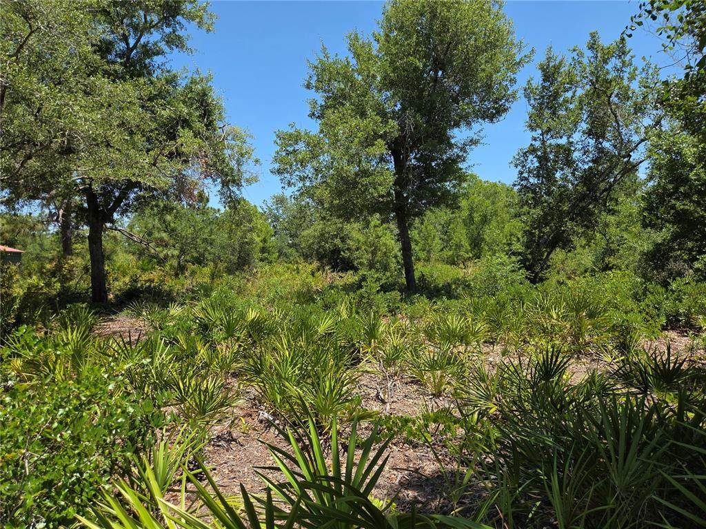 33410 Washington Loop Road - Photo 1