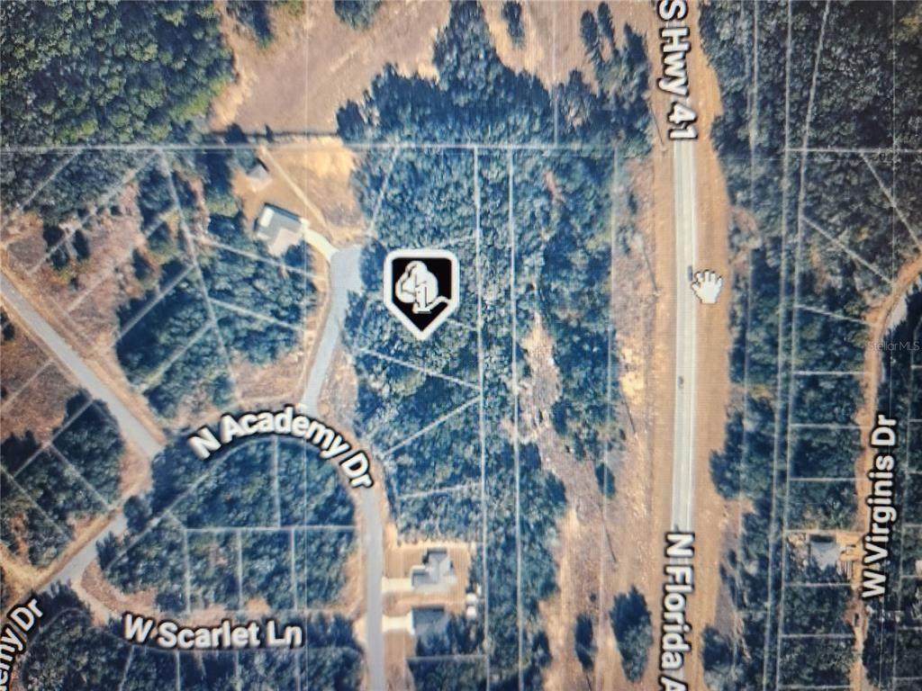 11197 Denice Point - Photo 1
