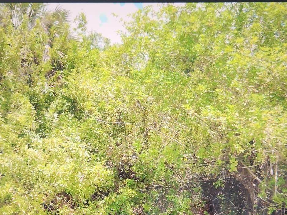 255 Capatola Street - Photo 1