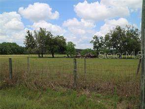 11819 Tarpon Springs Road - Photo 1