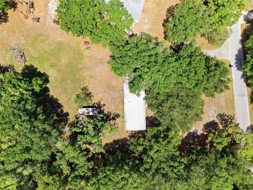 17214 Chinaberry Road - Photo 1