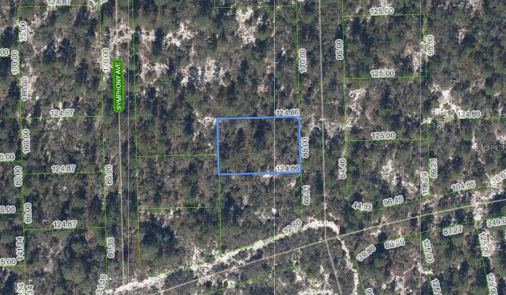 591 Blue Velvet Drive - Photo 1