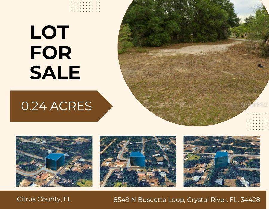 8549 Buscetta Loop - Photo 1