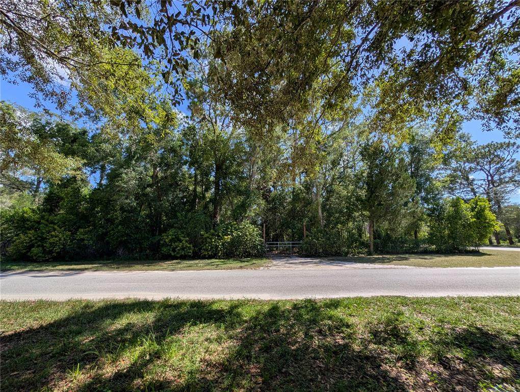 0 Jackson Avenue - Photo 1