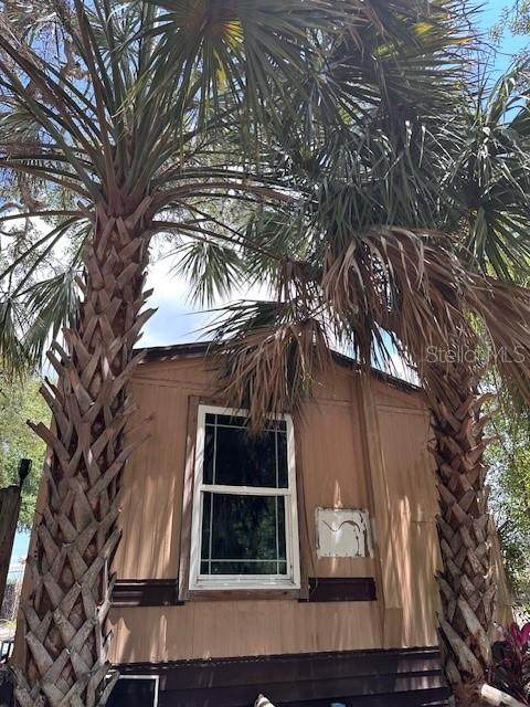 6631 Celeste Lane - Photo 1