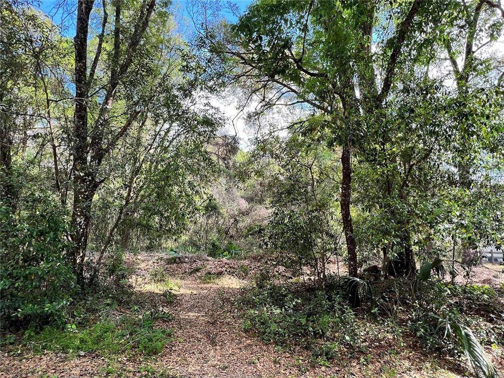 0 Garfield Avenue - Photo 1