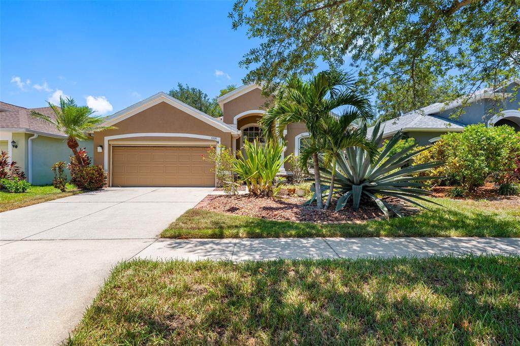 5335 Clover Mist Drive - Photo 1
