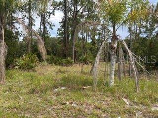 823 Pandora (Blk 217 Lot 13) Drive - Photo 1