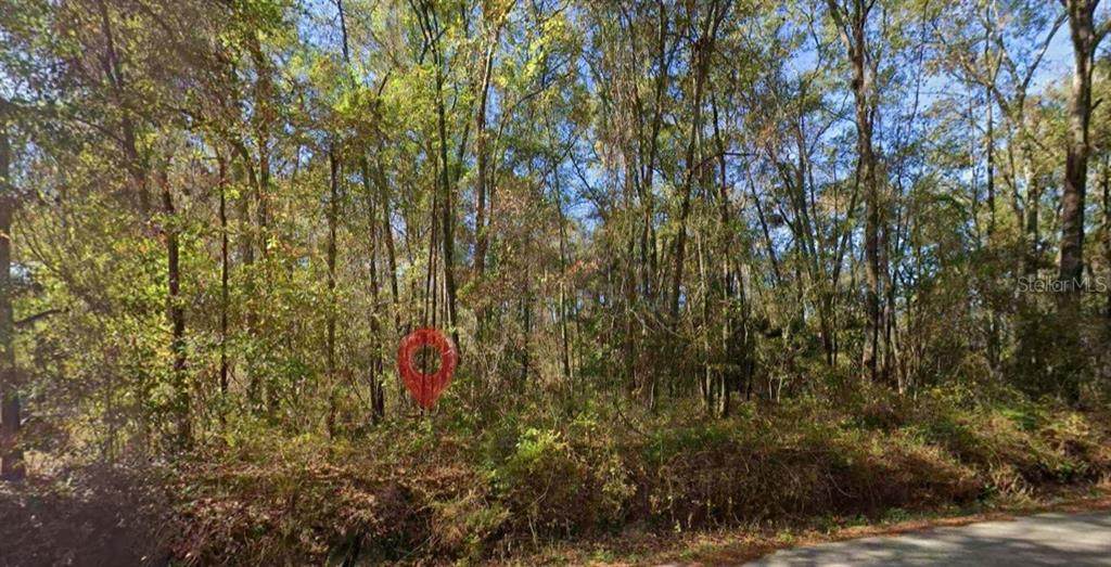  Iamonia Landing Road - Photo 1