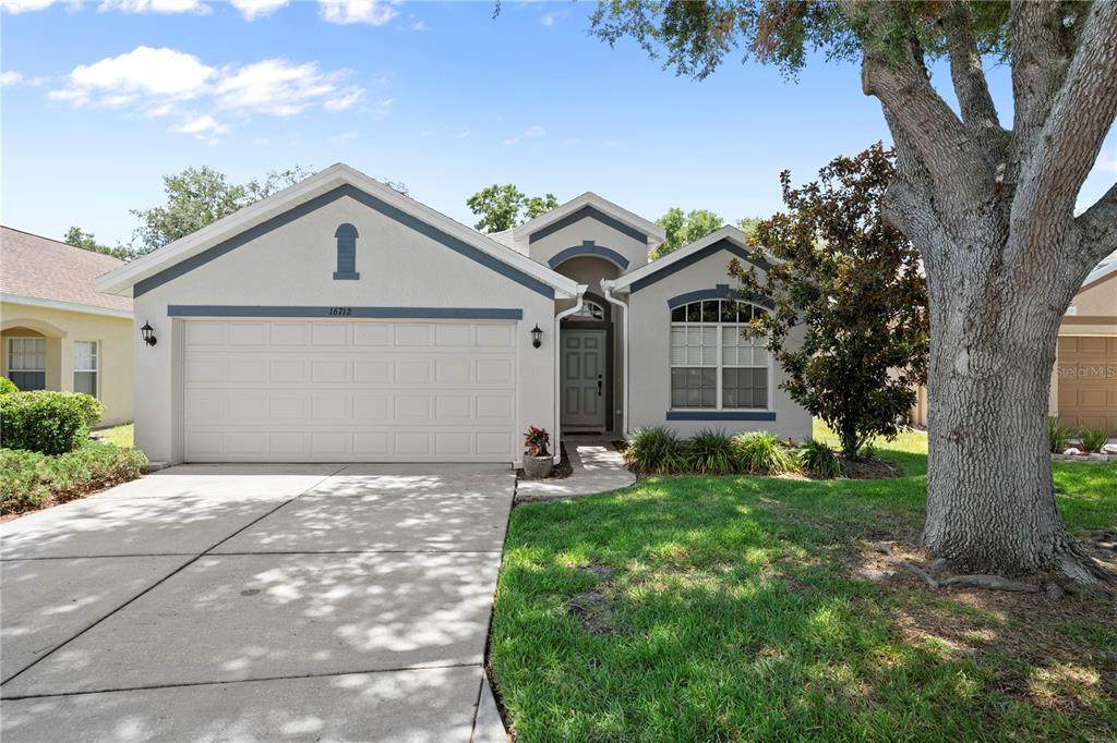 16712 Caracara Court - Photo 1