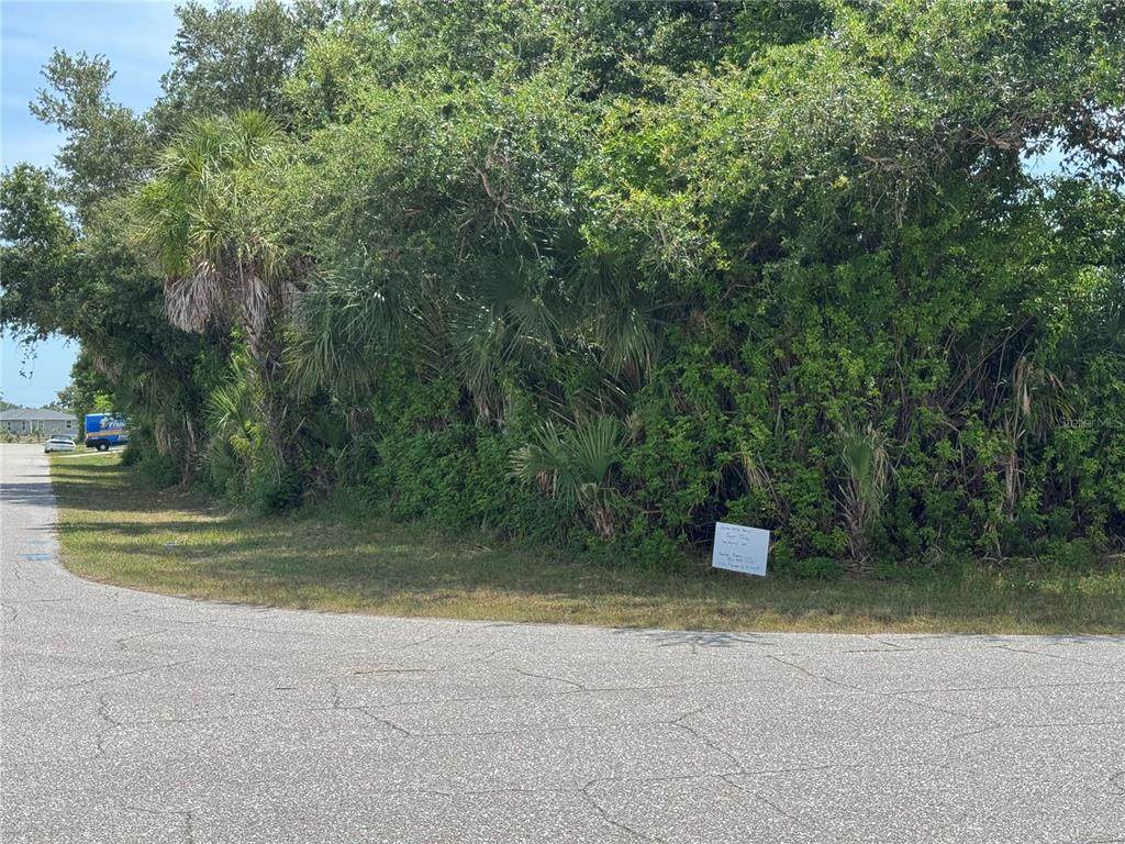 7251 Finnegan Street - Photo 1
