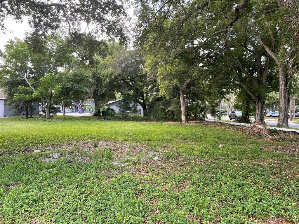  Pinellas Street - Photo 1
