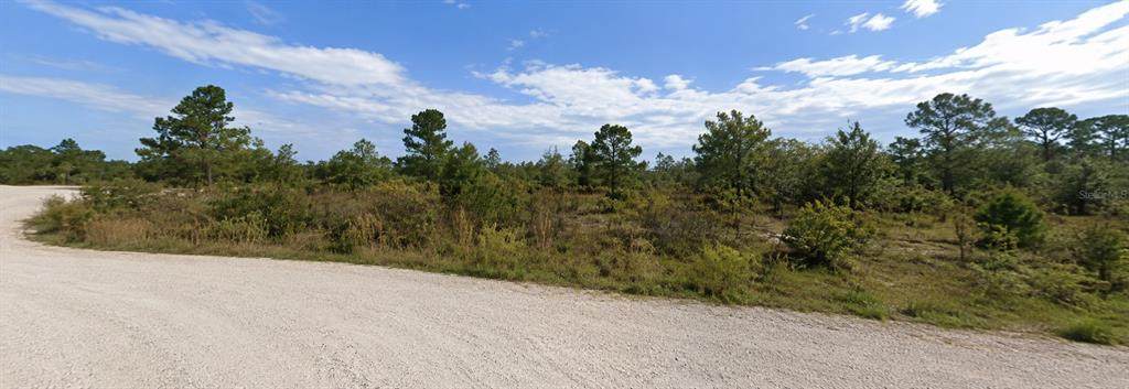  Coral Rock Drive - Photo 1