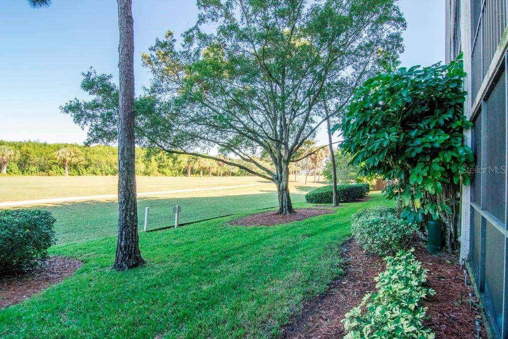 3300 Cove Cay Drive - Photo 1