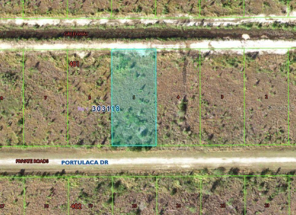 610 Portulaca Drive - Photo 1