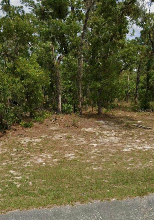 5689 Summerfield Point - Photo 1