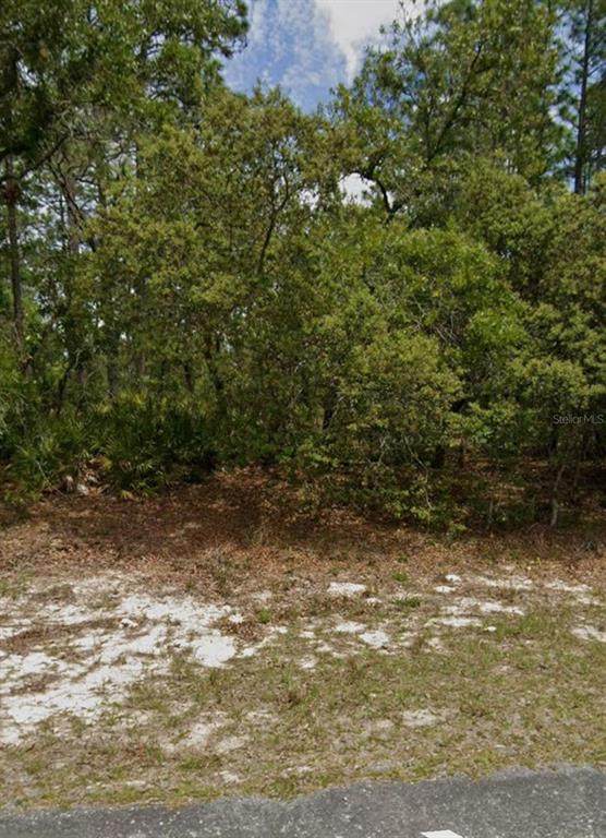 5732 Summerfield Point - Photo 1