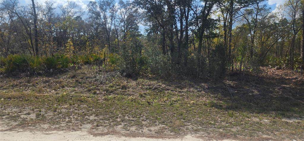 18043 Ramsey Road - Photo 1